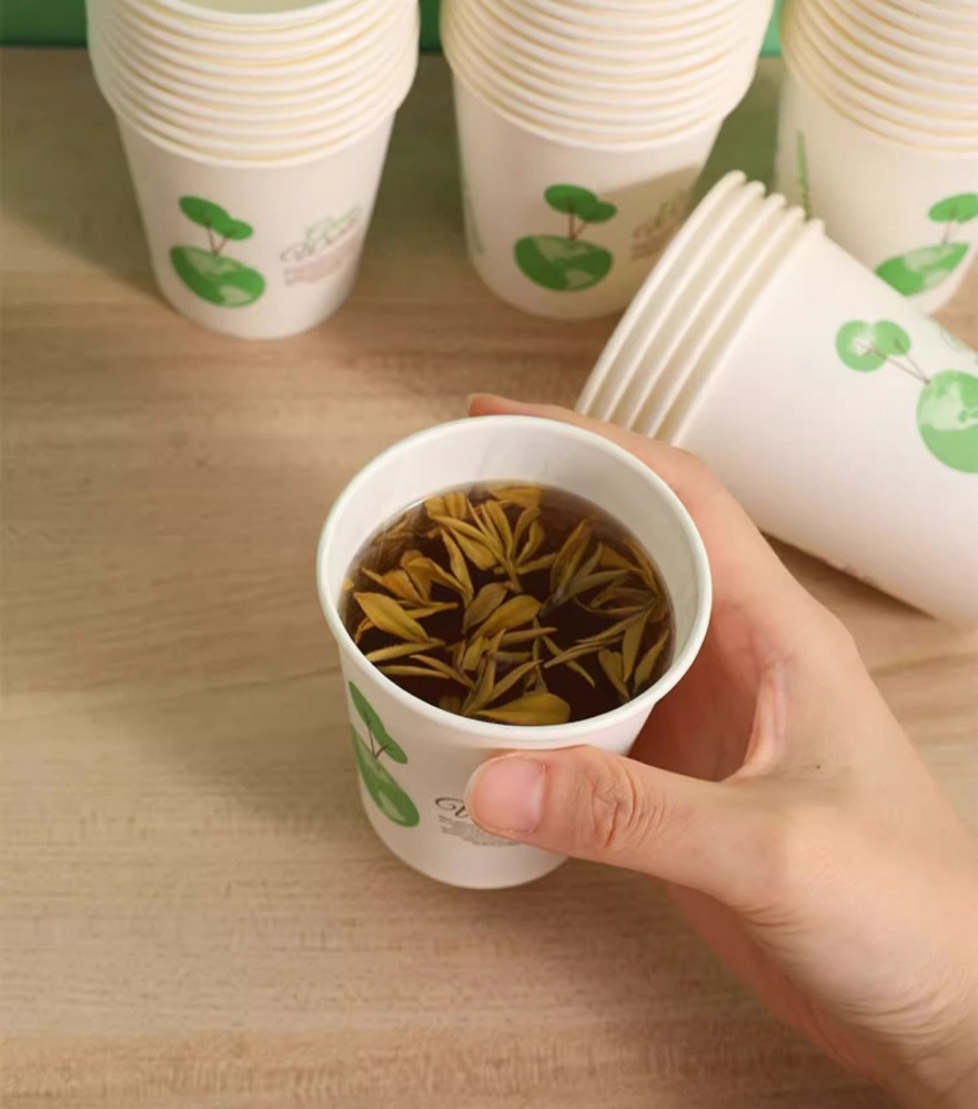 Set 50 cốc giấy nhỏ
