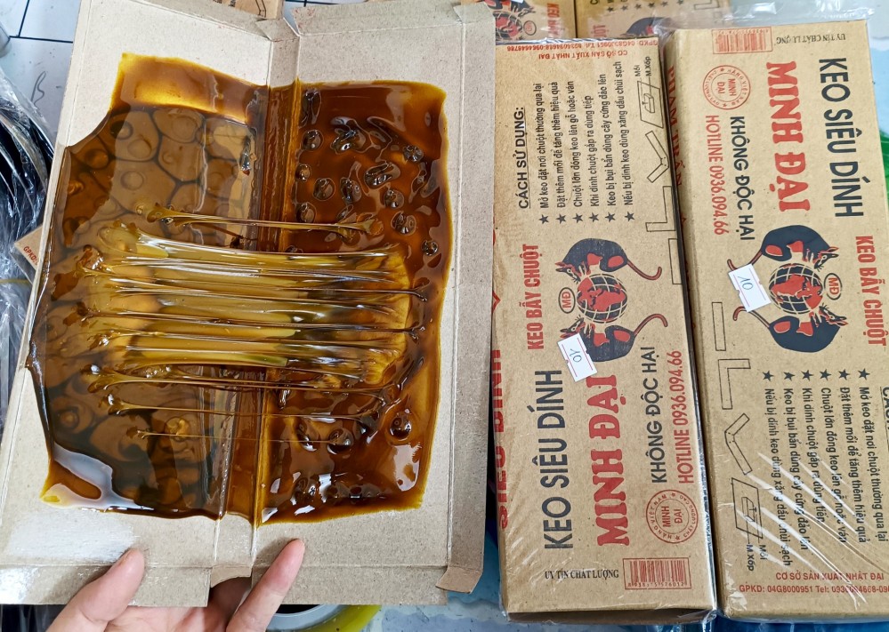 Bẫy keo dính chuột