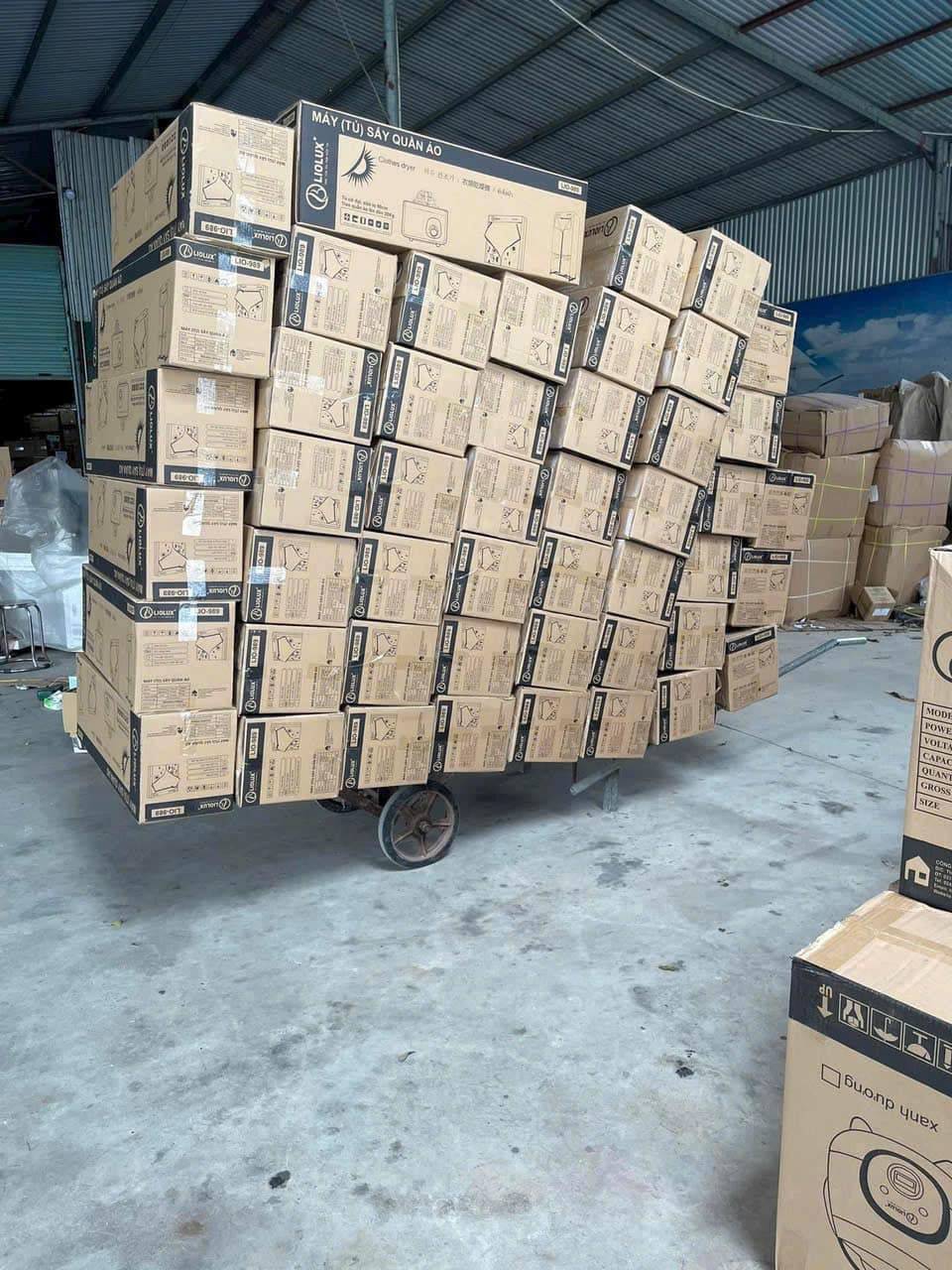 484517718 964376665889769 1141820574551363335 n