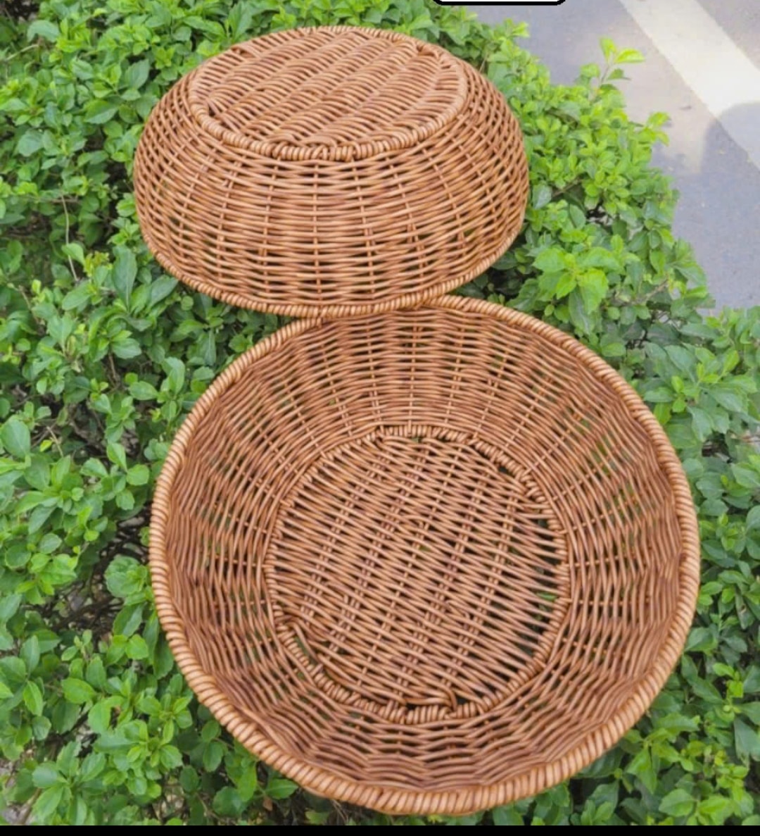 492230257 1179693274199109 6087654708101573861 n