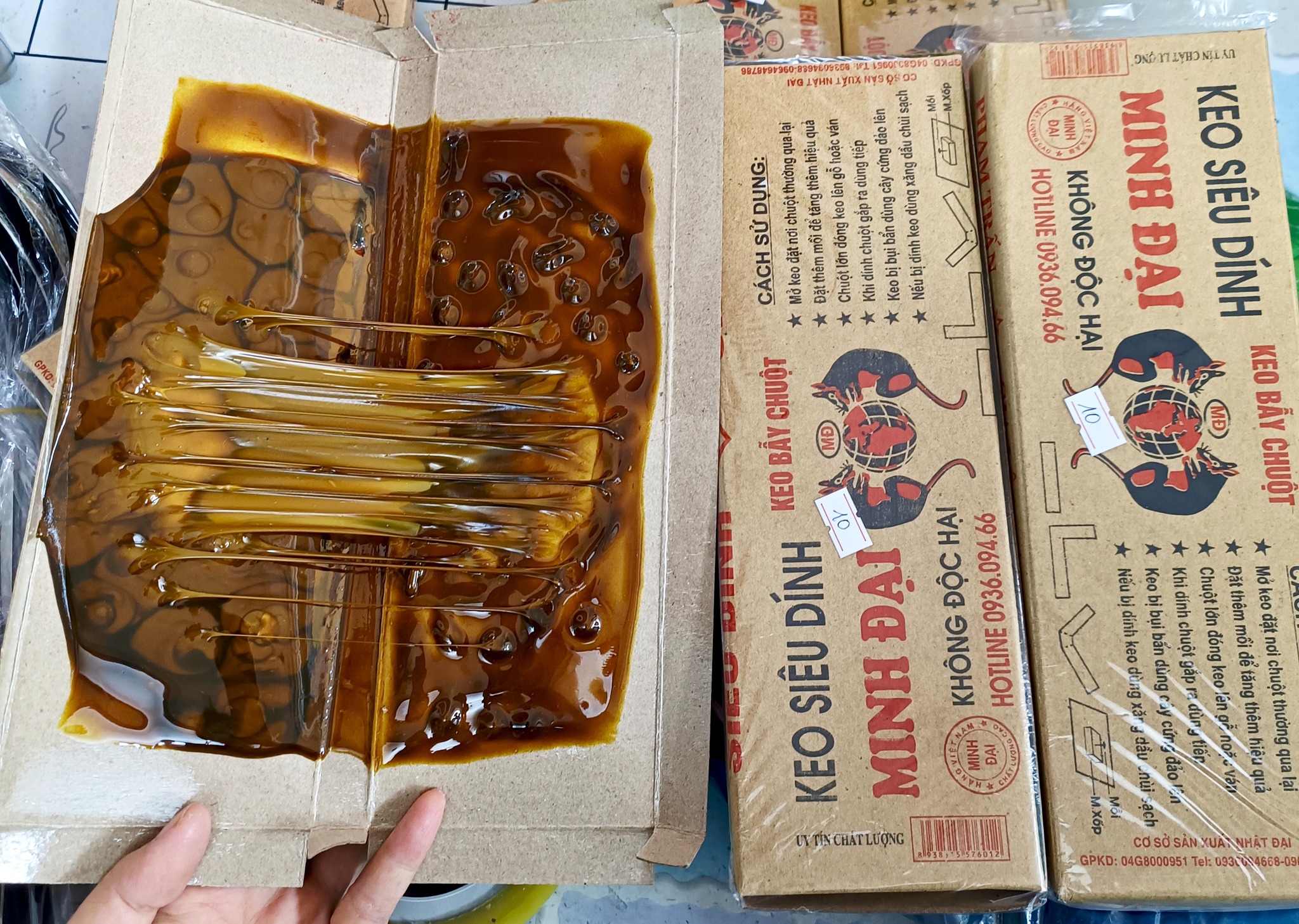 Bẫy keo dính chuột