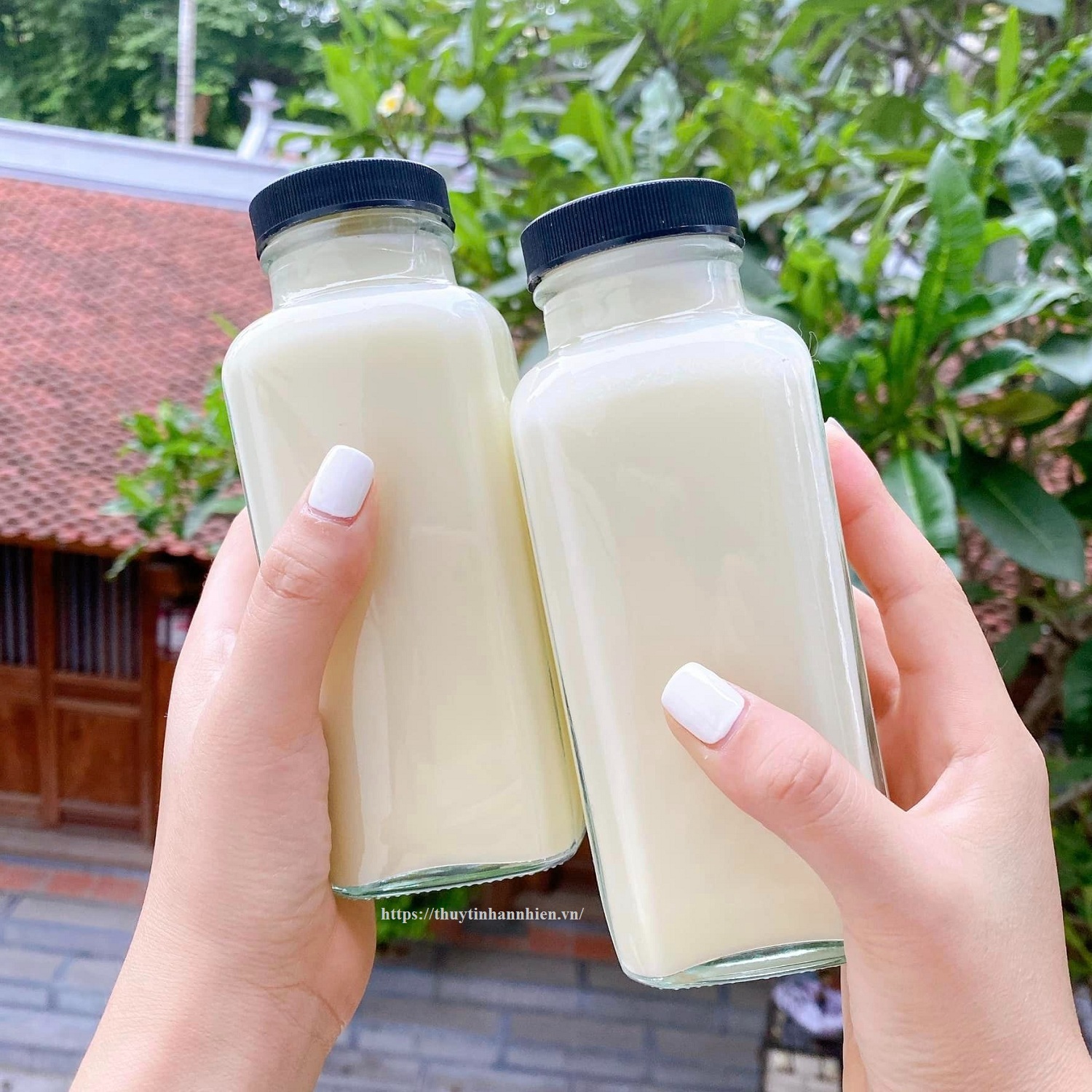 chai thuy tinh vuong cao nap nhua 500 ml 2