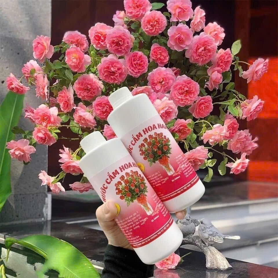 z7483559747036 24f149922368209923bb1f1750a6edef