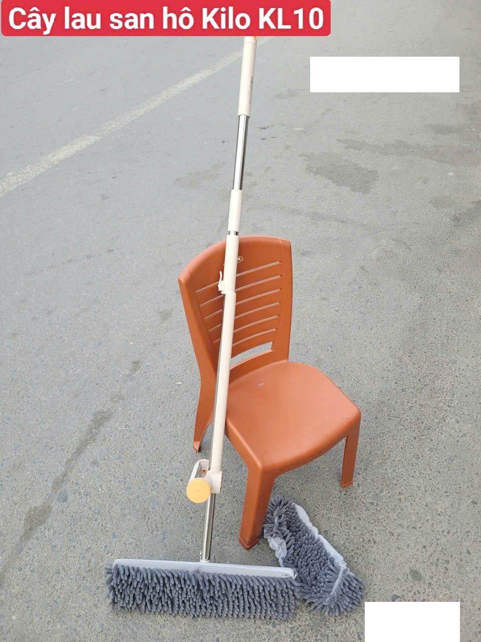 Cây lau tự vắt bông san hô